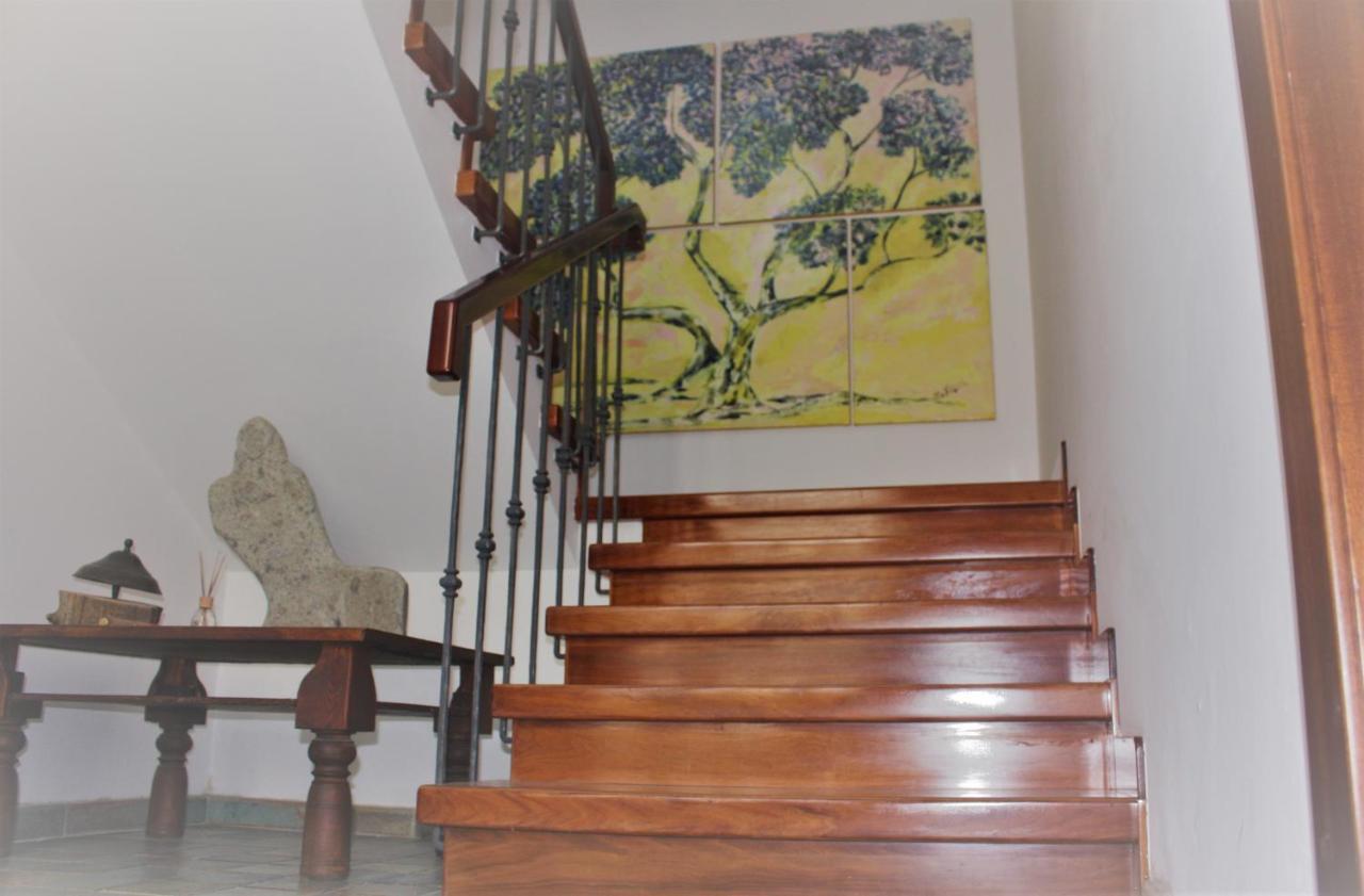 Maruru B & B Dell'Arte Civitanova Marche Eksteriør bilde